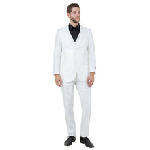 Load image into Gallery viewer, Ivory Men's Sharskin Slim-Fit 3-Piece Suit