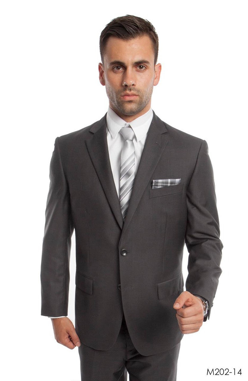 Men's Interview Suit Regular Fit Gray 2 Piece M202