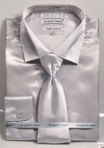 Slim Fit Shirt Tie Men's Gray Shiny Satin DNS06