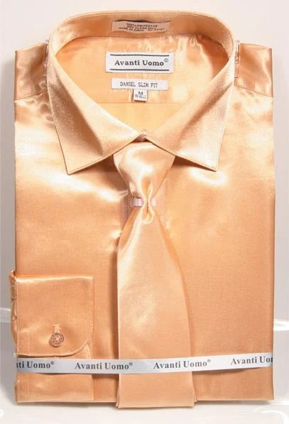 Slim Fit Shirt Tie Men's Taupe Shiny Satin DNS06